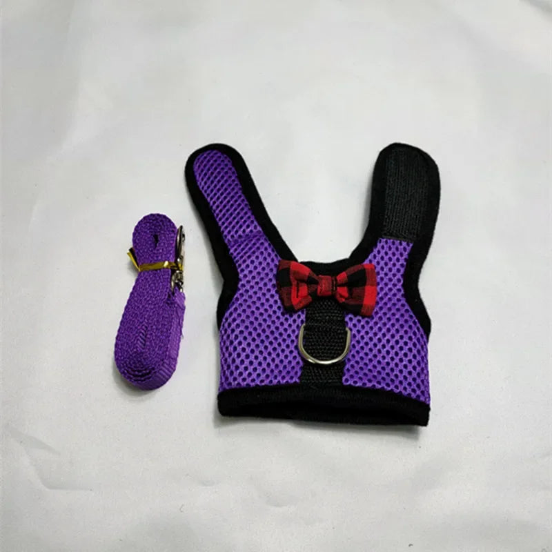 Cute Rabbit Walking Harness Set – Soft Vest with Leash for Outdoor Use