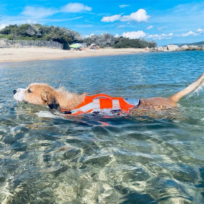 Reflective Dog Life Jacket – Adjustable Swim Safety Vest